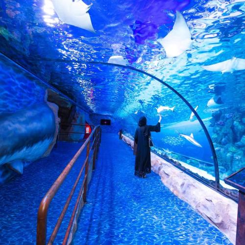 Visite de l’Aquarium Grand Hurghada