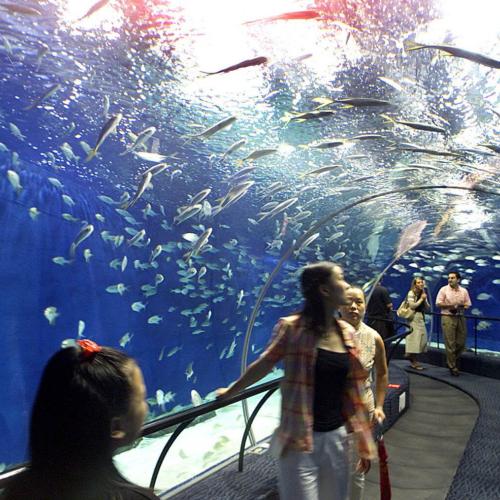 Visite de l’Aquarium Grand Hurghada