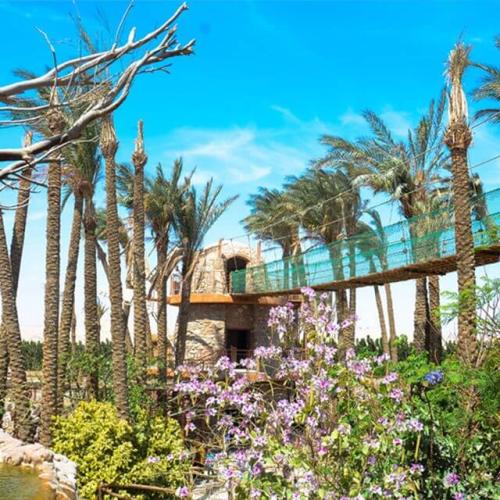 Visite de l’Aquarium Grand Hurghada