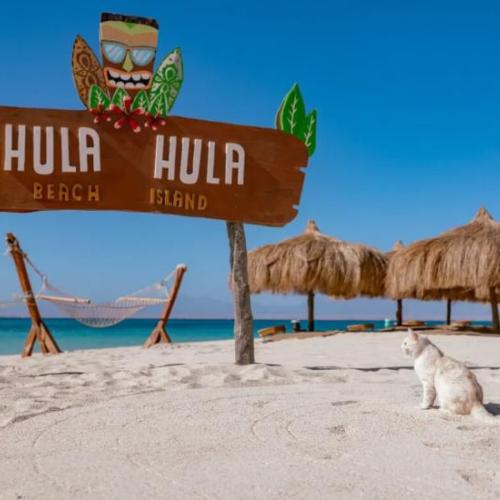Île Hula Hula hurghada