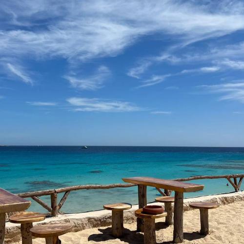 Île Mahmya Hurghada