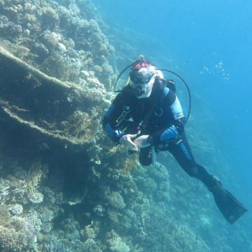 Daily Diving in hurghada