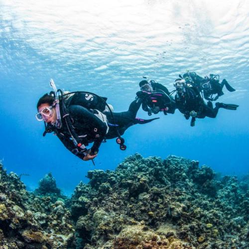 Daily Diving in hurghada