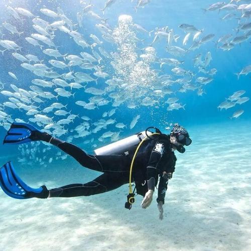 Daily Diving in hurghada