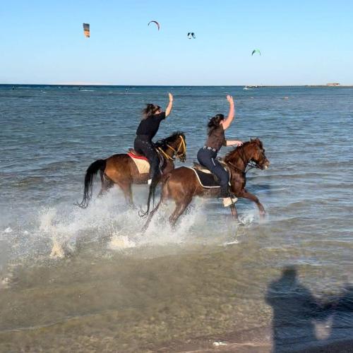 Safari dans le Sahara & balade à cheval à Hurghada