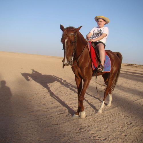 Balade à cheval diner spectacl hurghada
