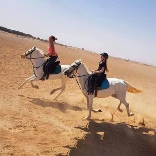 Safari dans le Sahara & balade à cheval à Hurghada