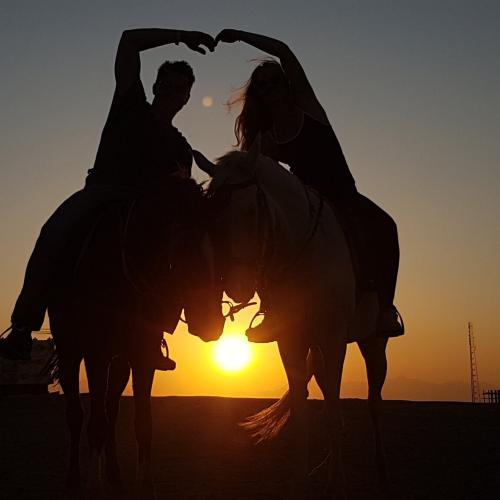 Balade à cheval diner spectacl hurghada