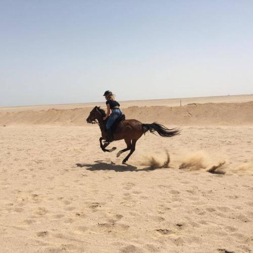 Safari dans le Sahara & balade à cheval à Hurghada