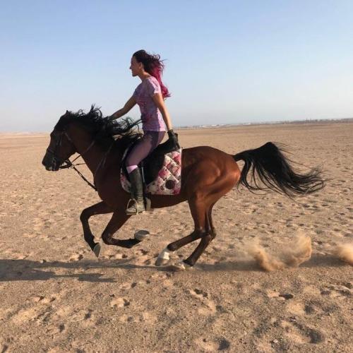 Safari dans le Sahara & balade à cheval à Hurghada