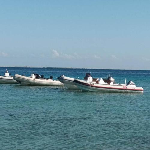 Speed boat privée hurghada