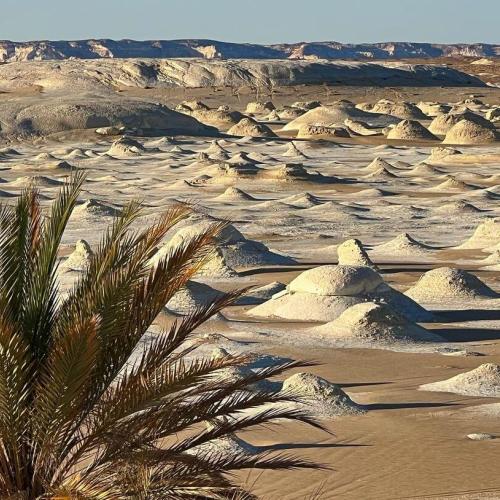 White Desert Egypt, camping, safari, Bahariya Oasis