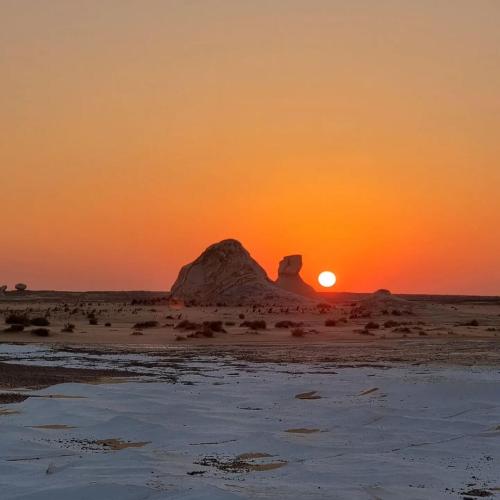White Desert Egypt, camping, safari, Bahariya Oasis