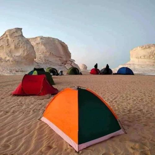 White Desert Egypt, camping, safari, Bahariya Oasis