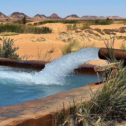 White Desert Egypt, camping, safari, Bahariya Oasis